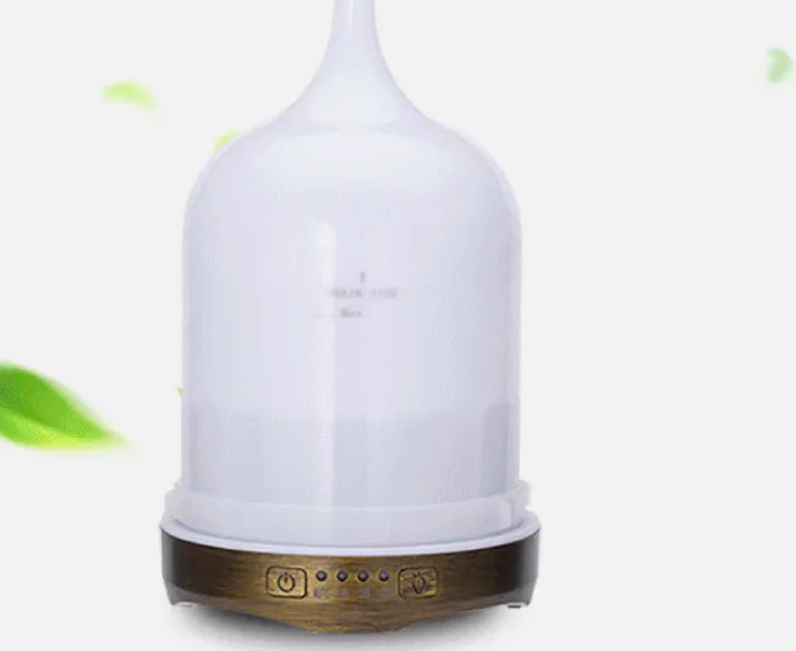 Portable Air Purifier